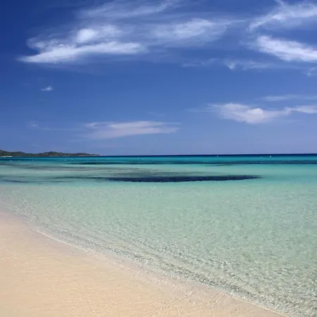 V21 Gioconda * קוסטה ריי